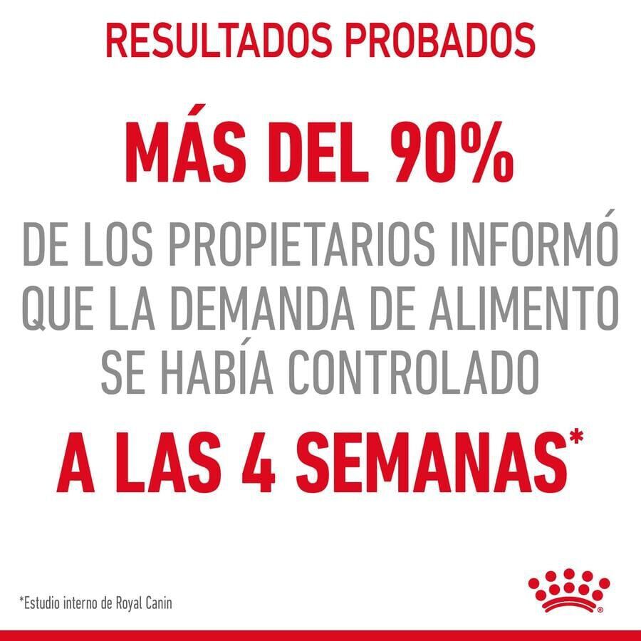 85 g Royal Canin Nutrition Appetite Control Care gelatina para gatos, , large indicador imagen numero 5