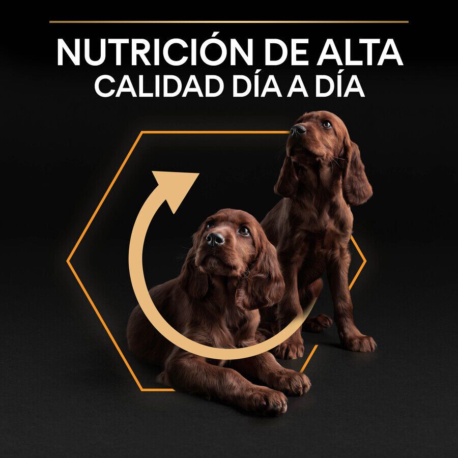3 kg Pro Plan Adult Small y Mini Pollo pienso para perros, , large indicador imagen numero 8