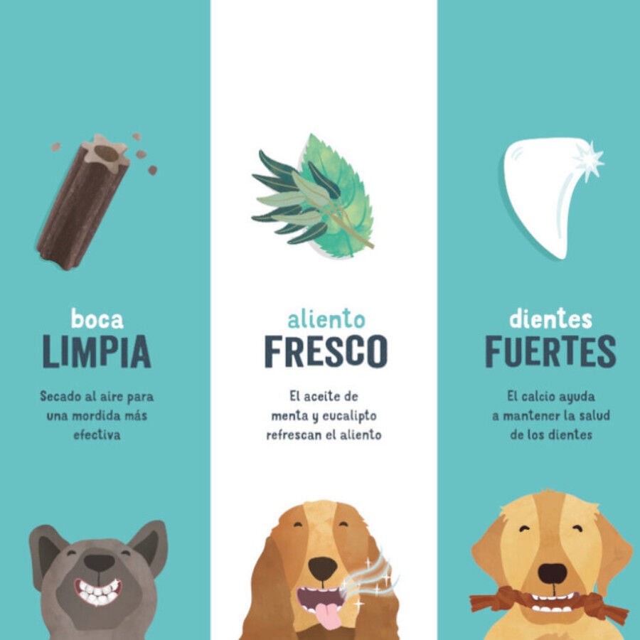 7 barritas Edgard & Cooper Barritas Dentales Manzana y eucalipto snack para perros grandes, , large indicador imagen numero 5