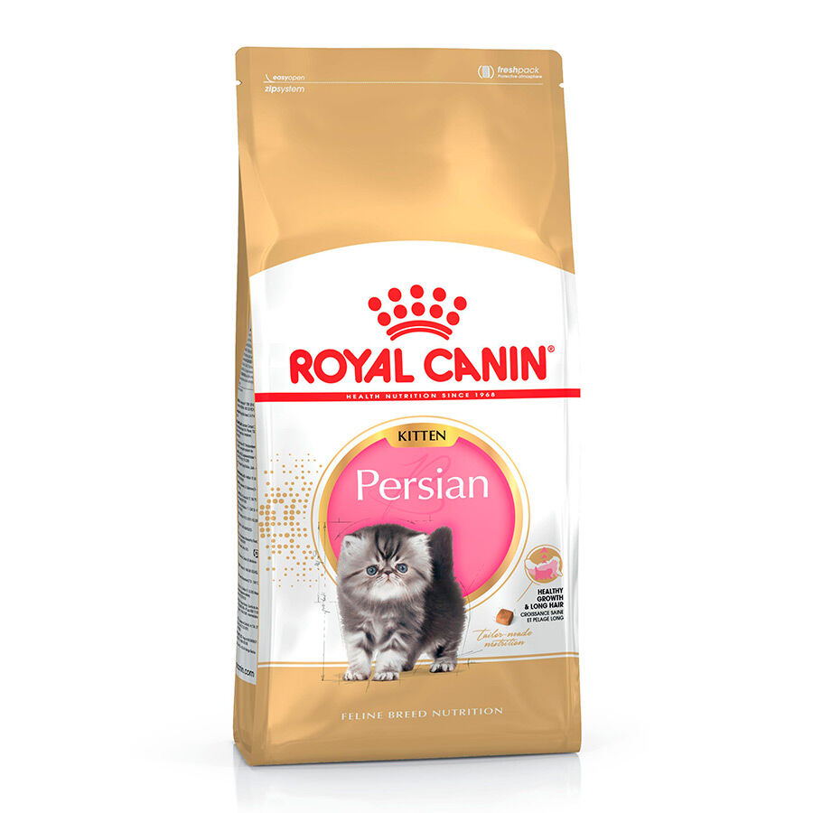 10 kg Royal Canin Kitten Persia pienso para gatos, , large Imagen numero 1