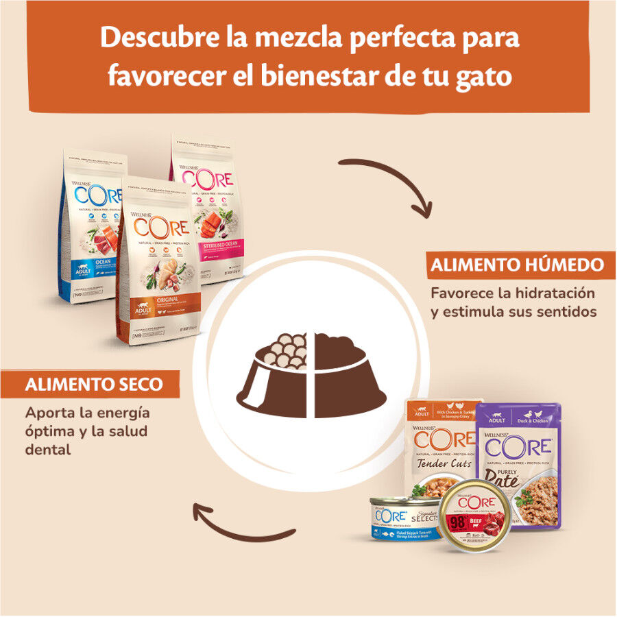 85 g Wellness Core Adult Pollo y Pavo en Pat&eacute; sobre para gatos, , large Imagen numero 6