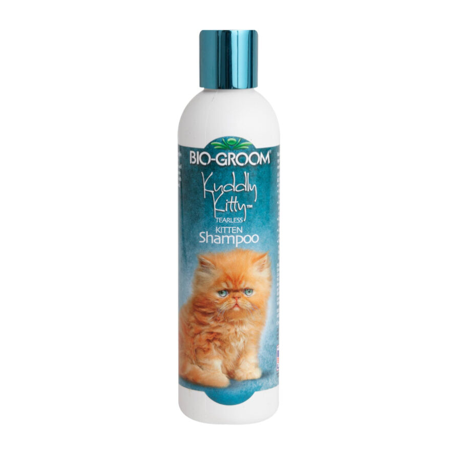 Bio-Groom Kuddly Kitty Champ&uacute;