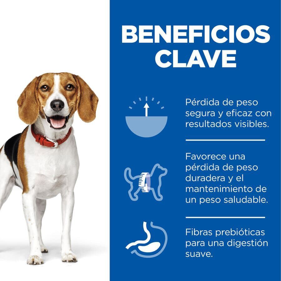 12 kg Hill's Science Plan Perfect Weight Adult Medium Pollo pienso para perros, , large Imagen numero 3