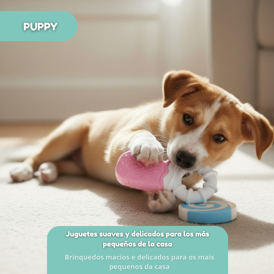 Tootoy! Pack de Mordedores Frios para cachorros, , large indicador imagen numero 7