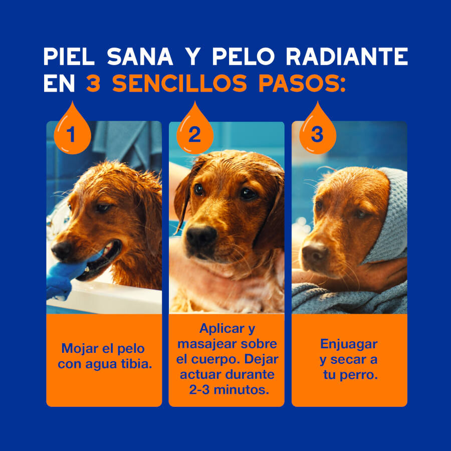 Ceva Douxo Spa Champ&uacute; 2 en 1 Desenredante para perros, , large Imagen numero 4