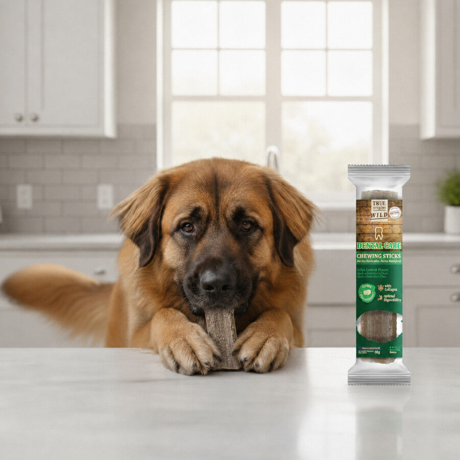 1 ud. True Origins Wild Dental Care Chewing Sticks Snack para perros, , large Imagen numero 1
