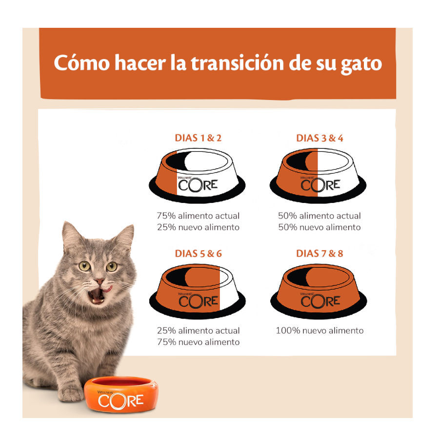 4 kg Wellness Core Adult Pollo y Pavo pienso para gatos, , large Imagen numero 5