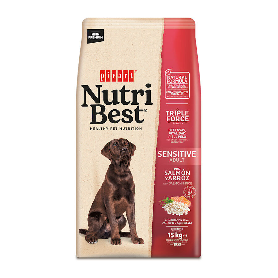 15 kg Nutribest Adult Sensitive Salm&oacute;n y Arroz pienso para perros, , large Imagen numero 1