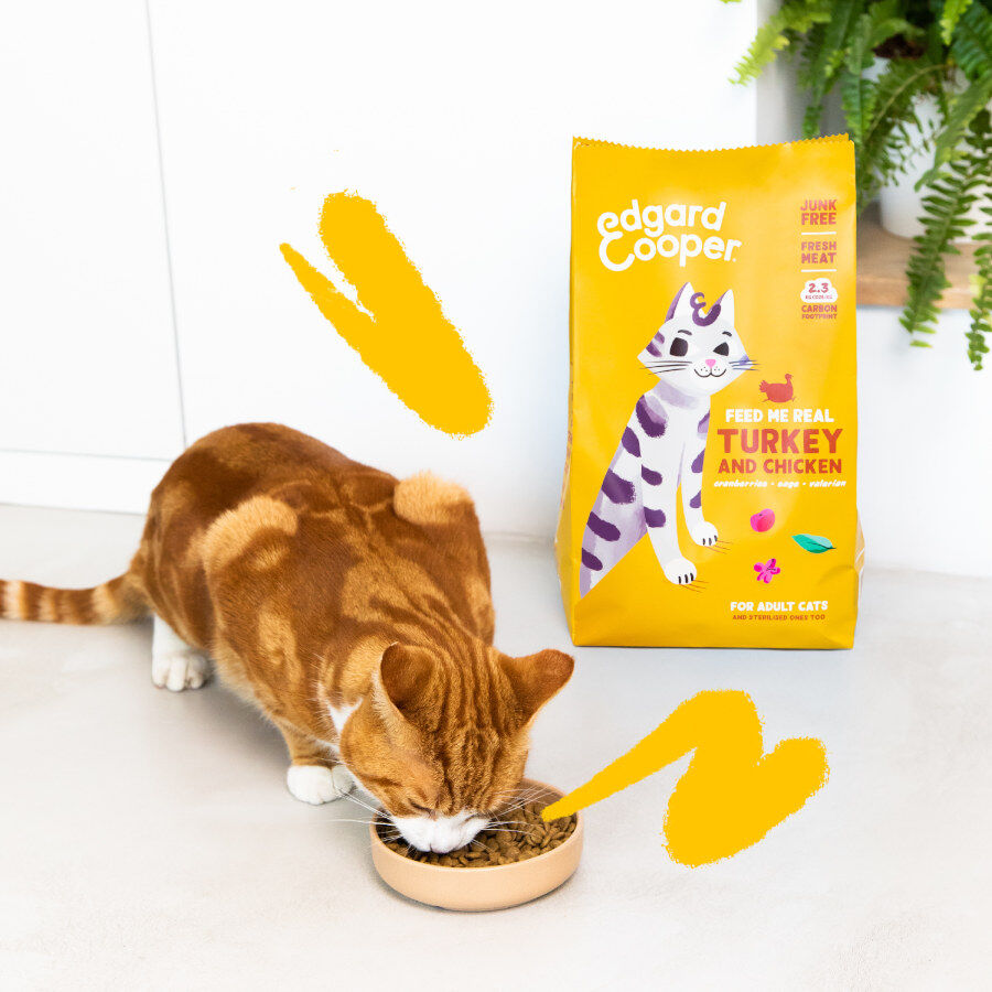 2 kg Edgard & Cooper Adult Pavo y Pollo pienso para gatos, , large indicador imagen numero 2