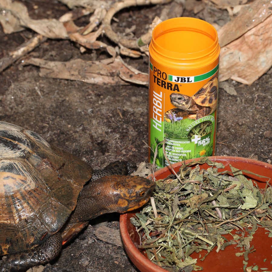 JBL Proterra Herbil alimento para tortugas, , large Imagen numero 5