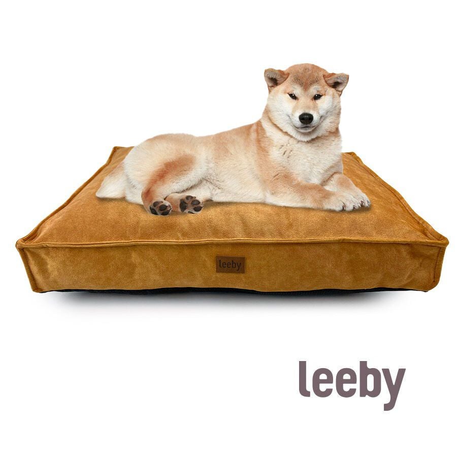 Leeby Colchoneta Impermeable y Desenfundable Dorada para perros, , large Imagen numero 2