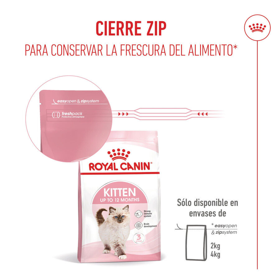 4 kg Royal Canin Kitten pienso para gatos, , large indicador imagen numero 5