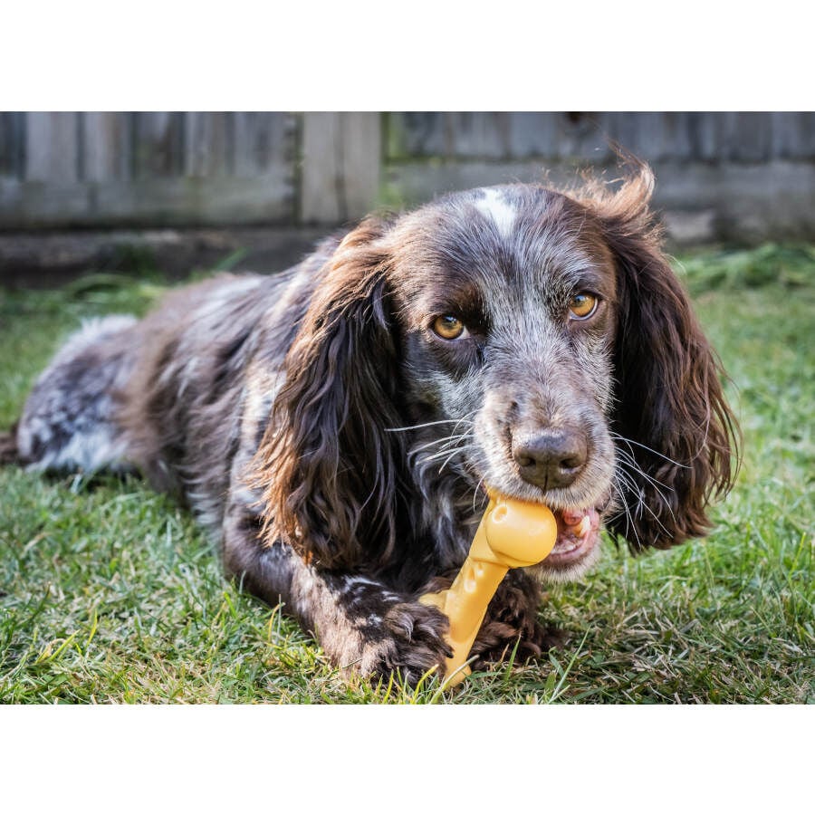 Nylabone Hueso Mordedor Resistente Sabor a Queso para perros, , large Imagen numero 2