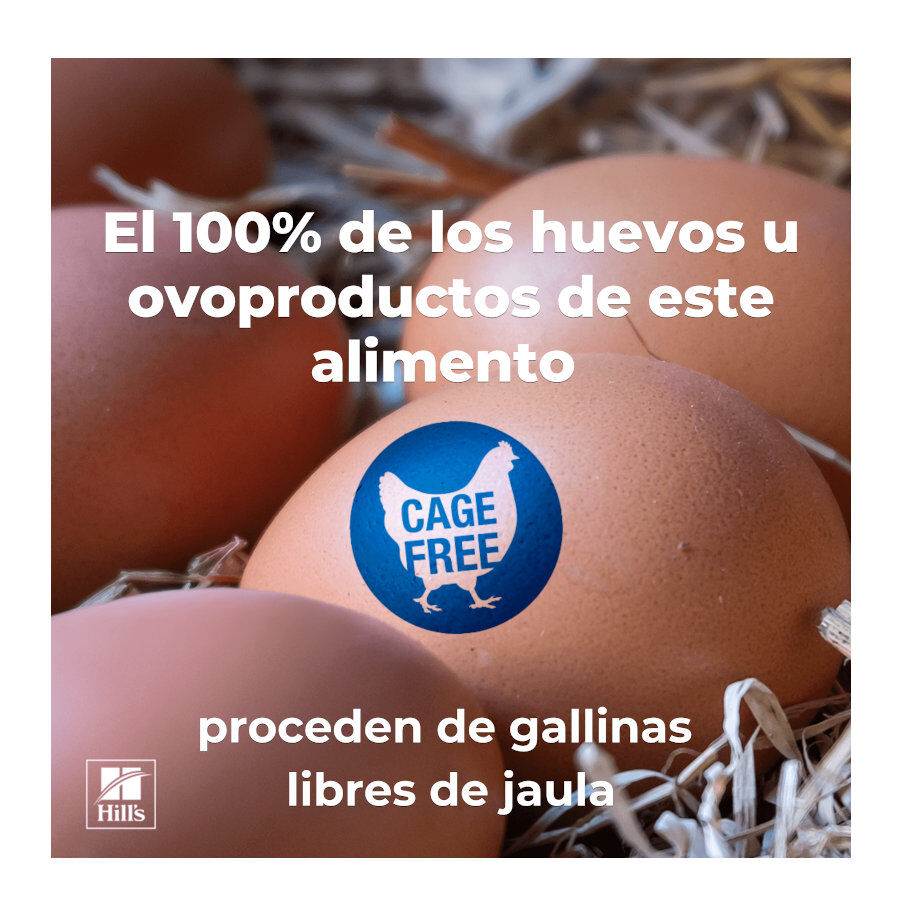 7 kg Hill's Science Plan Adult Hypoallergenic Huevo e Insecto pienso para gatos, , large indicador imagen numero 9