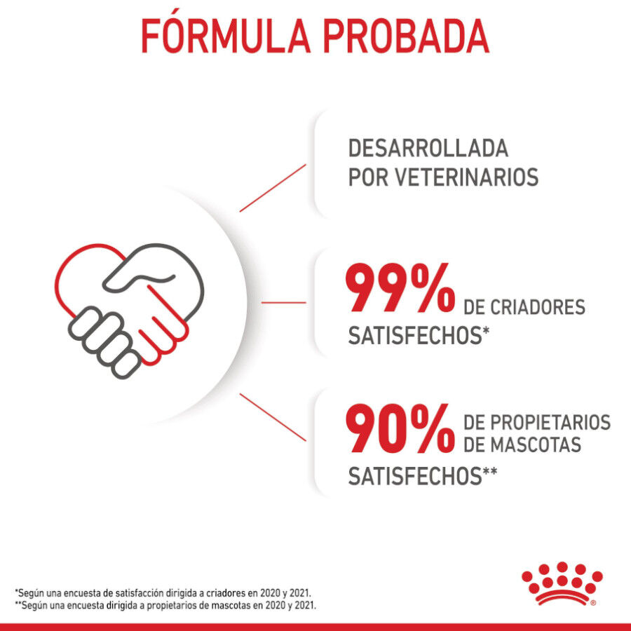 85 g Royal Canin Kitten pat&eacute; sobre para gatos, , large indicador imagen numero 12