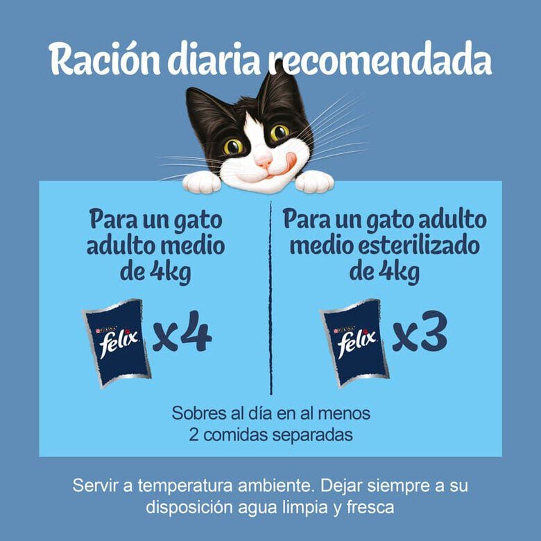 4 sobres x 85 g Felix Fantastic Duo Pescado en Gelatina sobre para gatos, , large indicador imagen numero 3