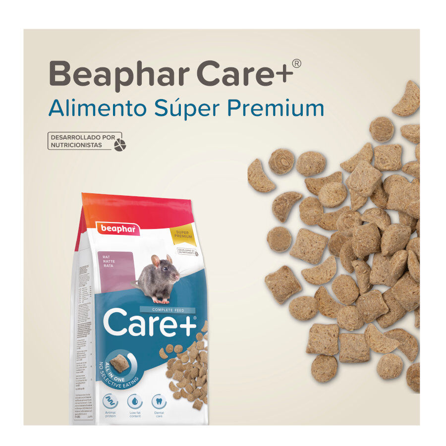Beaphar Care+ Pienso para ratas, , large Imagen numero 8