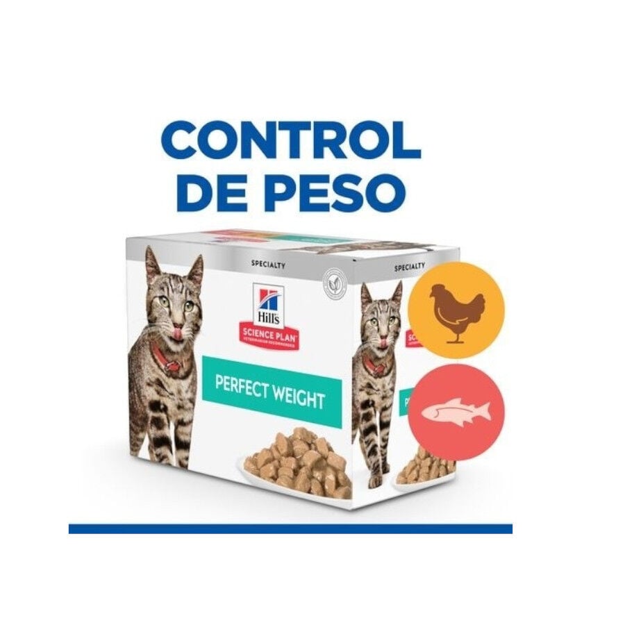 12 sobres x 85 g Hill's Perfect Weight Salm&oacute;n y Pollo sobre para gatos  12, , large Imagen numero 2