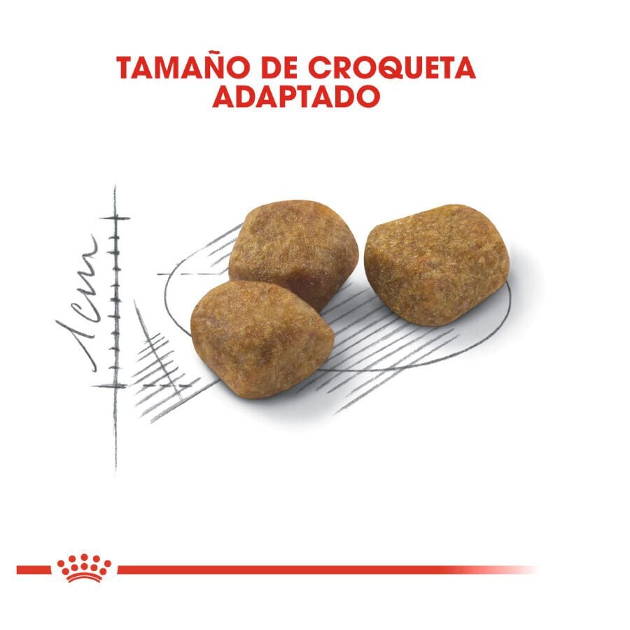 3.5 kg Royal Canin Home Life Indoor 7+ pienso para gatos, , large Imagen numero 4