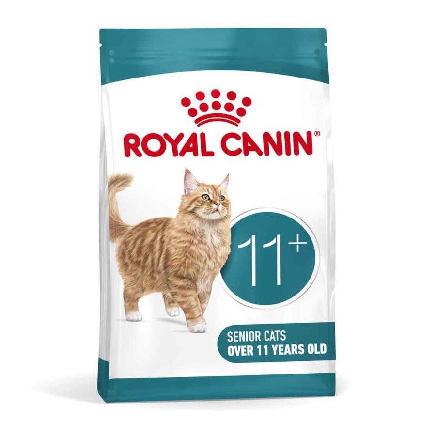4 kg Royal Canin Ageing 11+ pienso para gatos&nbsp;senior, , large Imagen numero 1