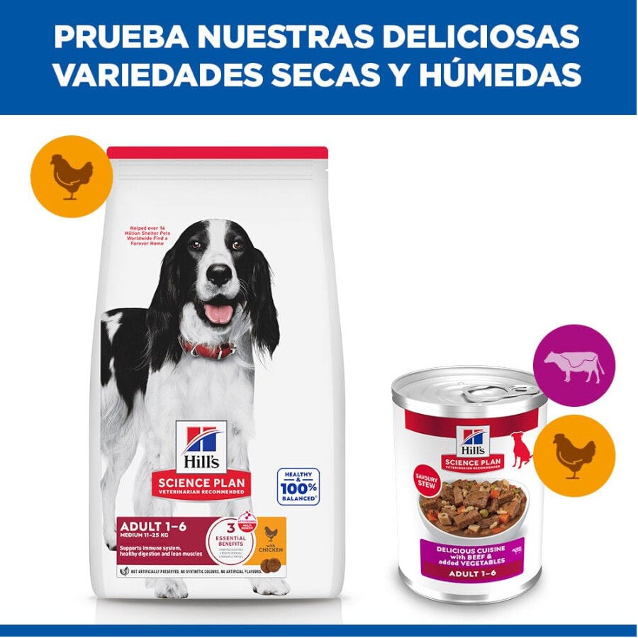 363 g Hill's Science Plan Adult Estofado con vacuno y verduras lata para perros, , large indicador imagen numero 5