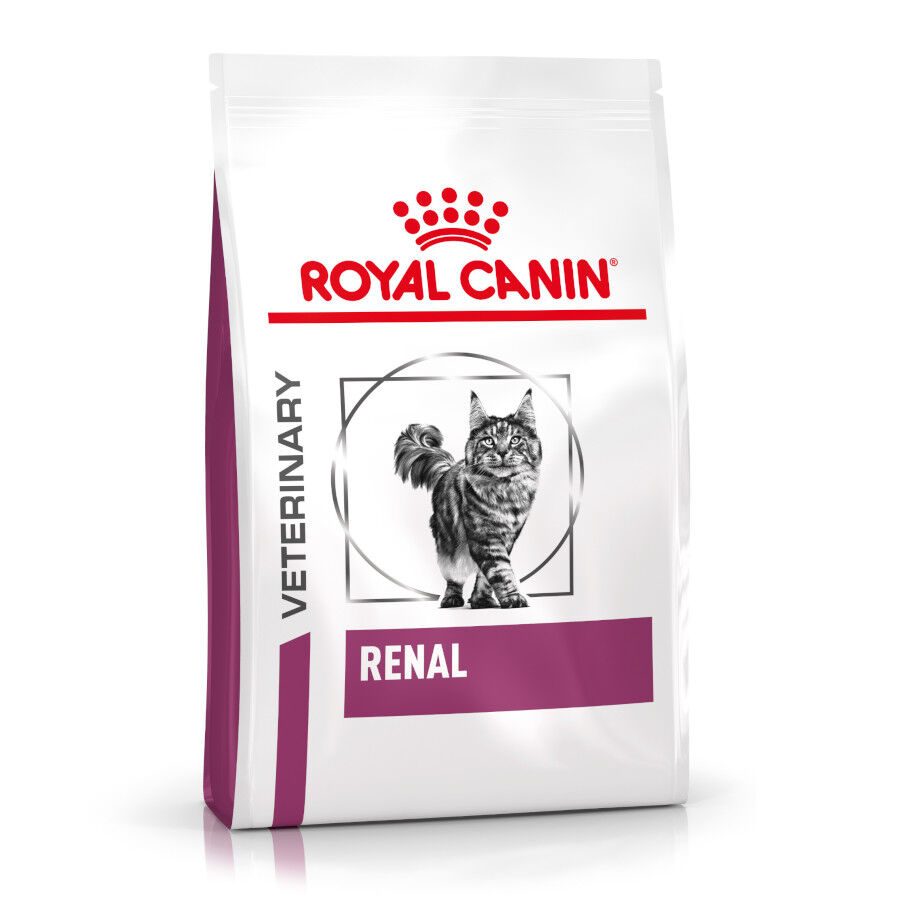 Royal Canin Veterinary Renal pienso para gatos