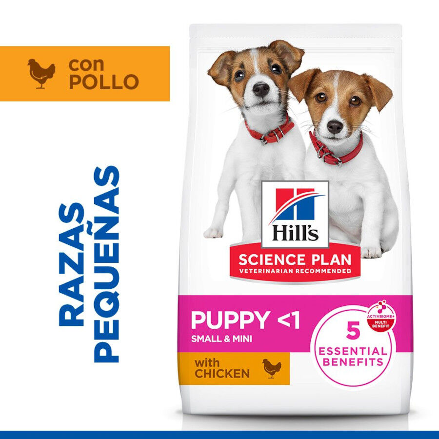 Hill's Science Plan pienso pollo para cachorros de razas mini