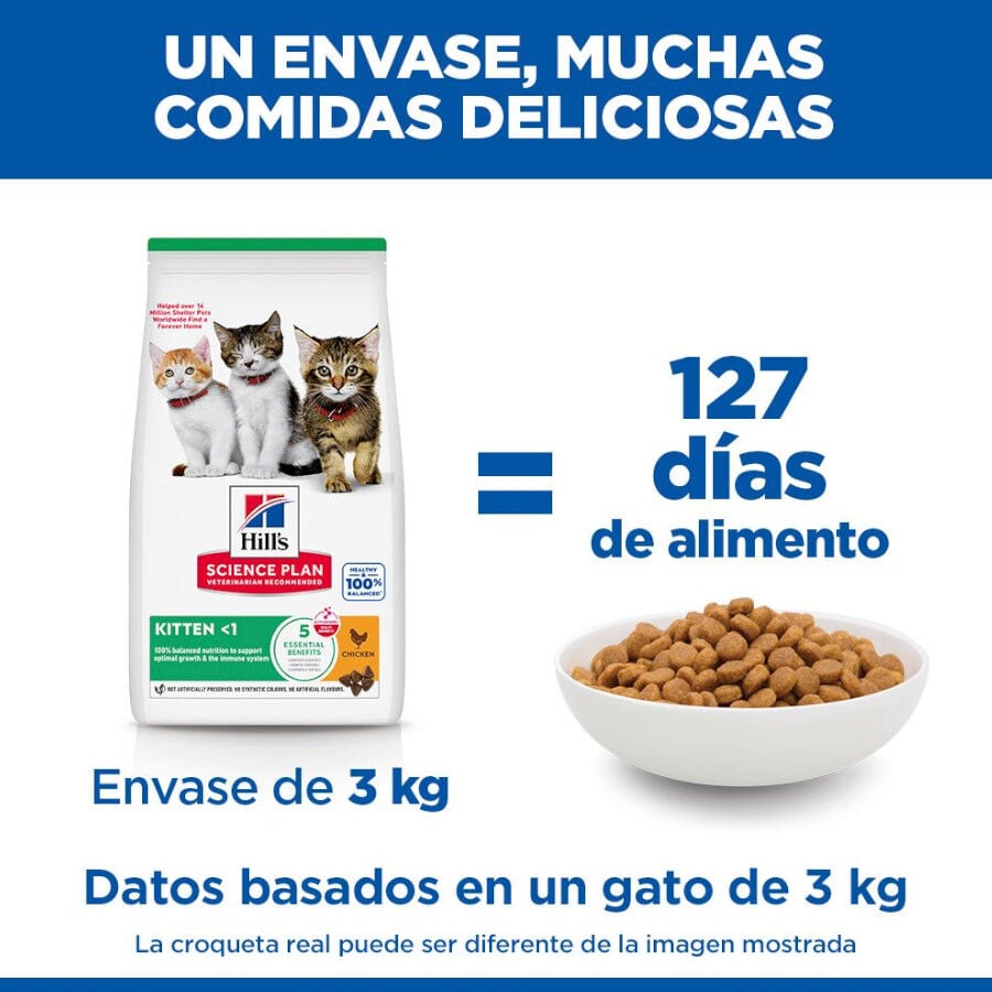 7 kg Hill's Science Plan Kitten Pollo pienso para gatos, , large indicador imagen numero 5