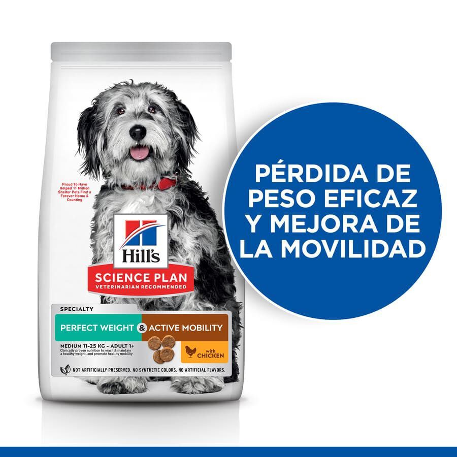 12 kg Hill's Science Plan Perfect Weight y Active Mobility pollo pienso para perros medianos, , large indicador imagen numero 3