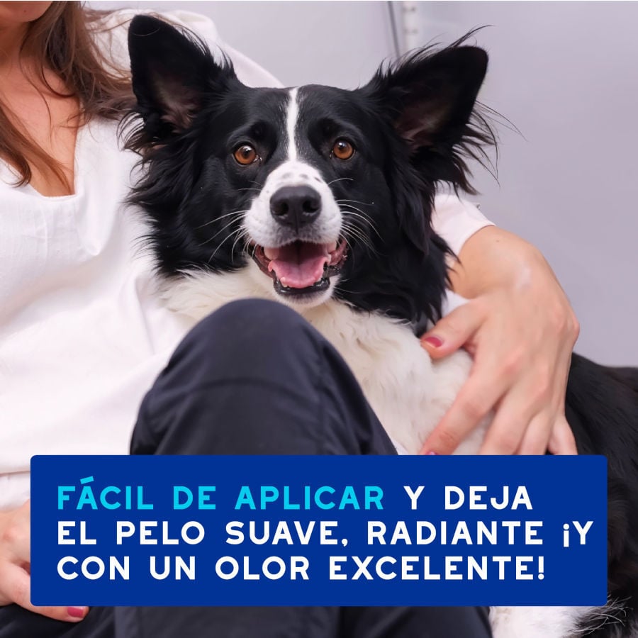Ceva Douxo Spa Mousse Limpiador Expr&eacute;s para perros, , large indicador imagen numero 5