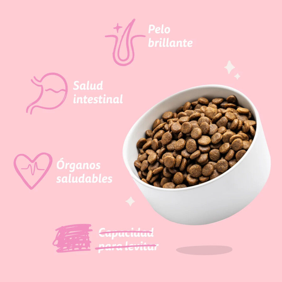 3 kg Edgard & Cooper Pienso Pato y Pollo para cachorros mini, , large Imagen numero 5