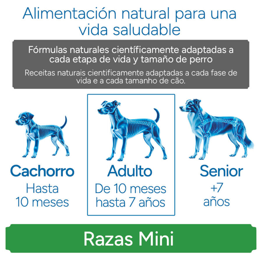 3 kg Criadores Cient&iacute;fico Sensitive Adulto Mini Pienso Salm&oacute;n para perros, , large indicador imagen numero 11