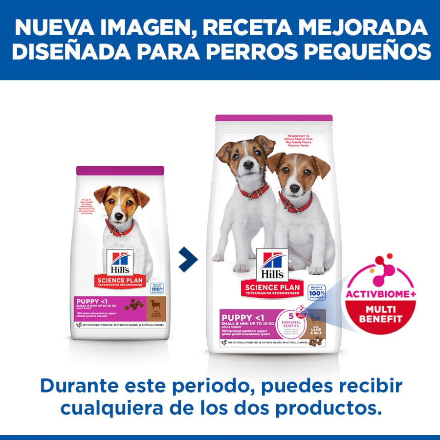 6 kg Hill's Science Plan Puppy Small y mini Cordero y arroz para perros, , large indicador imagen numero 3