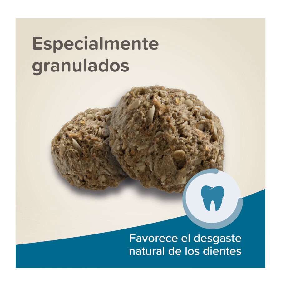Beaphar Care+ pienso para conejos seniors, , large indicador imagen numero 6