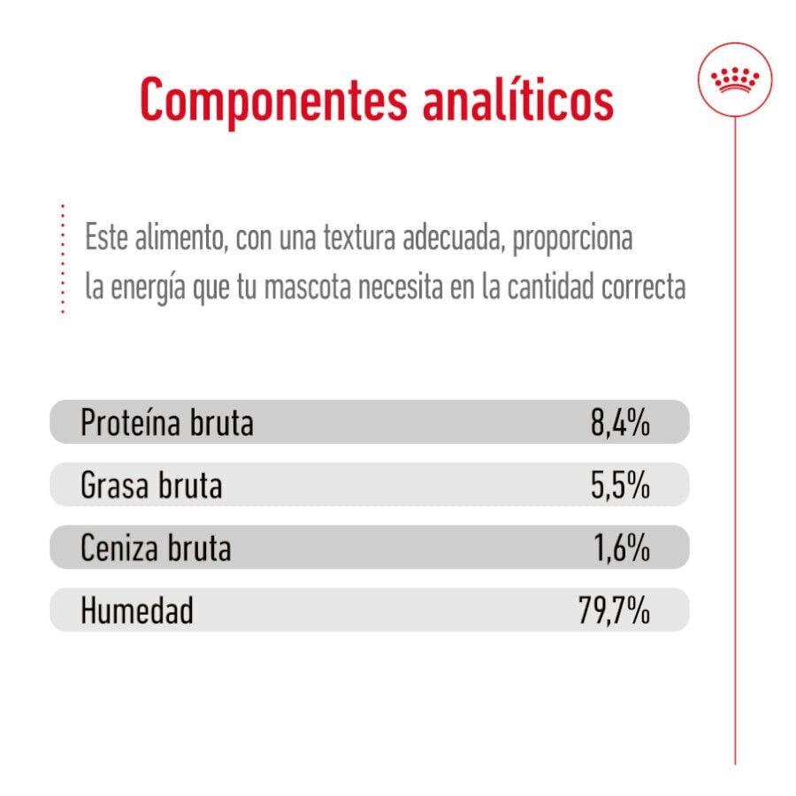 410 g Royal Canin Medium 7+ Ageing lata para perros&nbsp;senior, , large Imagen numero 6