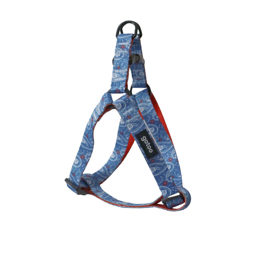 Gotoo Arn&eacute;s estampado cachemira azul para perros, , large indicador imagen numero 1