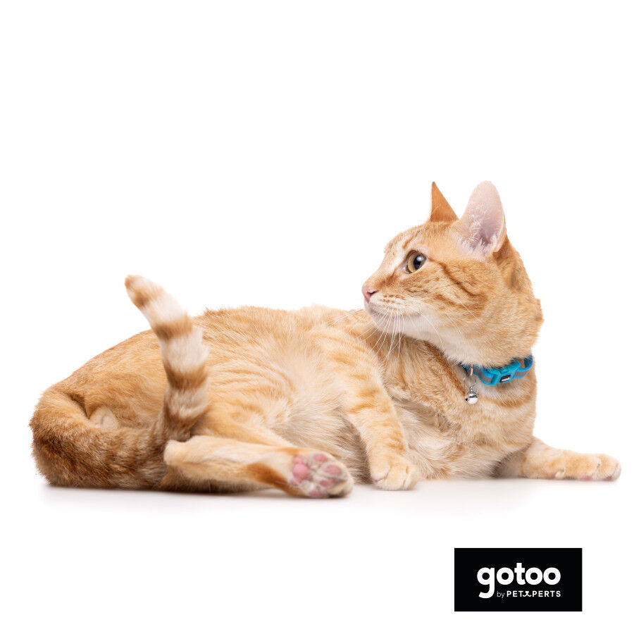 Gotoo Collar reflectante azul para gatos, , large indicador imagen numero 5