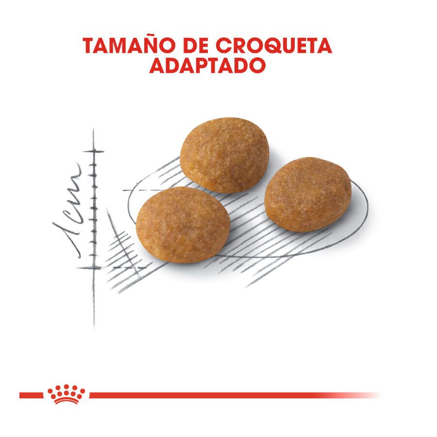 0.4 kg Royal Canin Adult Exigent Aroma pienso para gatos, , large Imagen numero 3