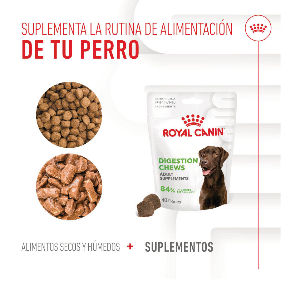 160 g Royal Canin Digestion Chews Suplemento Nutricional para perros con sensibilidad, , large indicador imagen numero 9