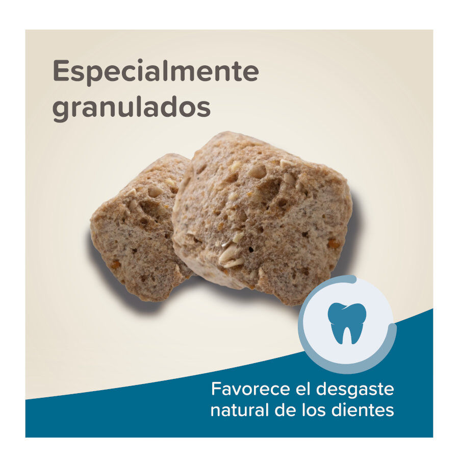 700 g Beaphar Care+ Pienso para h&aacute;msteres, , large Imagen numero 6