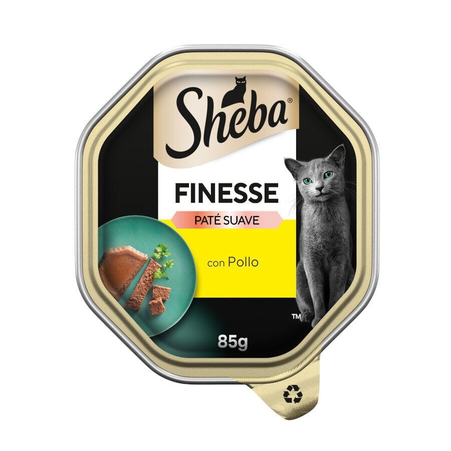 85 g Sheba Finesse Pollo en Pat&eacute; tarrina para gatos, , large Imagen numero 1