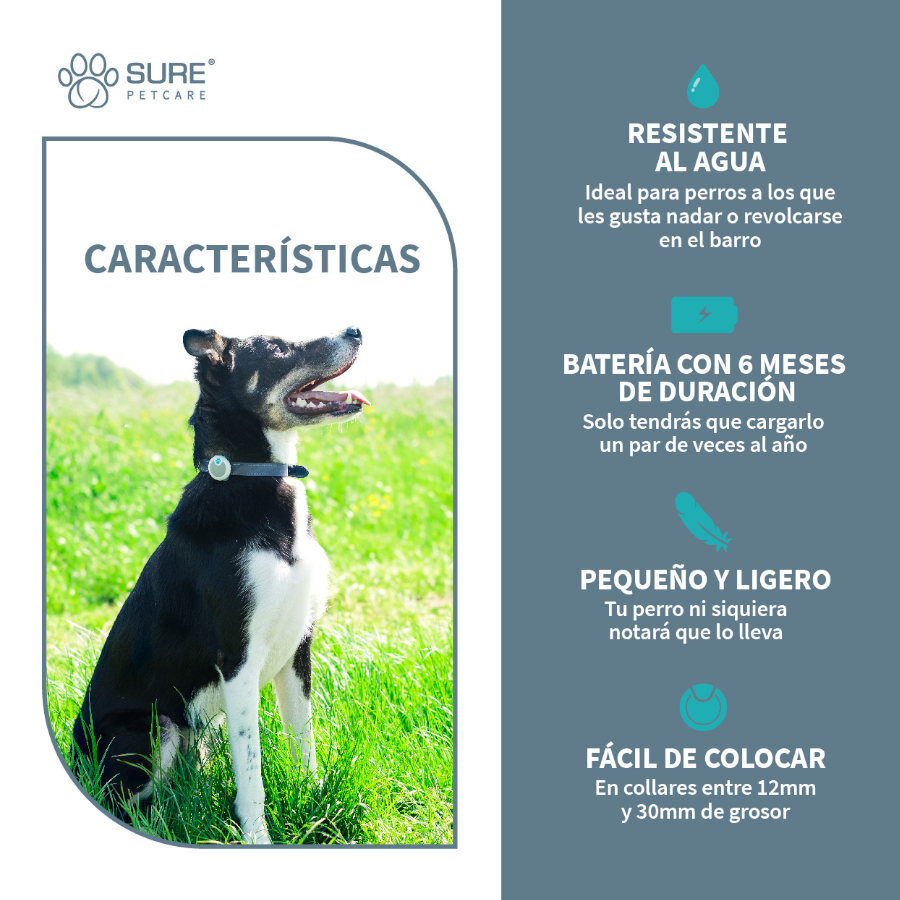 Sure Petcare Animo monitor de Conducta para perros, , large indicador imagen numero 5