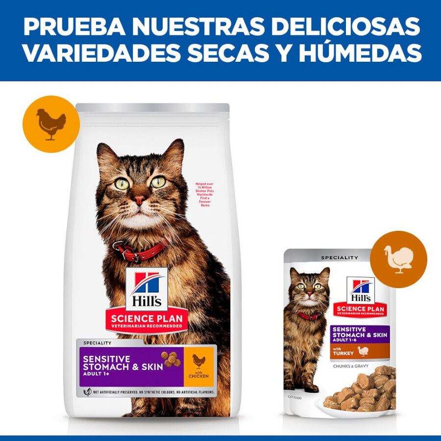 1.5 kg Hill's Adult Science Plan Sensitive Stomach Pollo pienso para gatos, , large indicador imagen numero 7