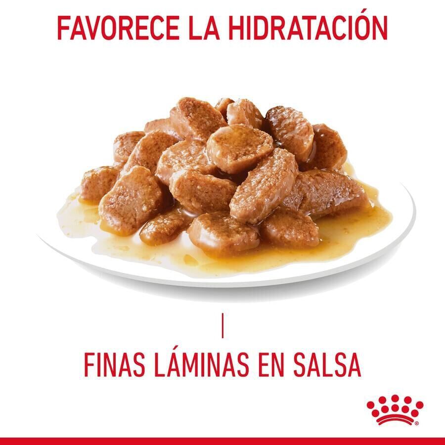 85 g Royal Canin Urinary Sobre en Salsa para gatos, , large Imagen numero 2