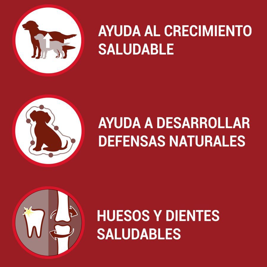1.5 kg Purina One Junior Bifensis Pollo pienso para perros, , large indicador imagen numero 2