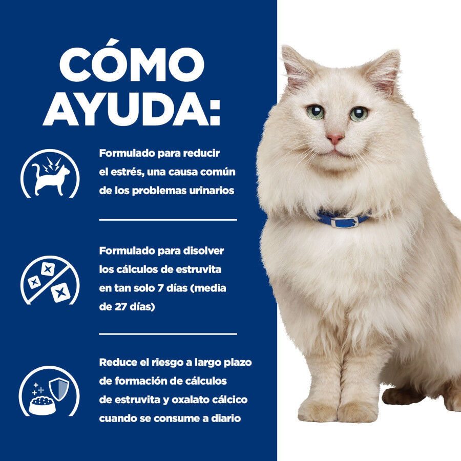 3 kg Hill's Prescription Diet Urinary Care c/d pescado azul pienso para gatos, , large indicador imagen numero 5