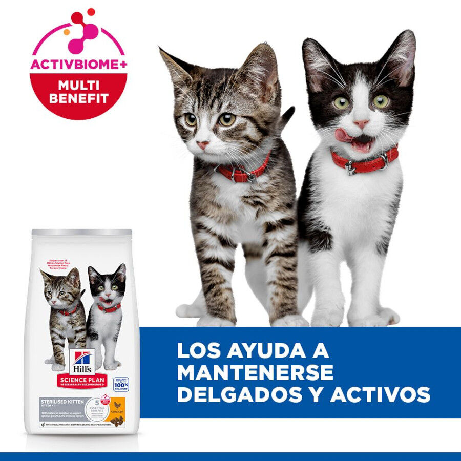 3 kg Hill's Science Plan Sterilised Kitten Pollo pienso para gatos, , large Imagen numero 4