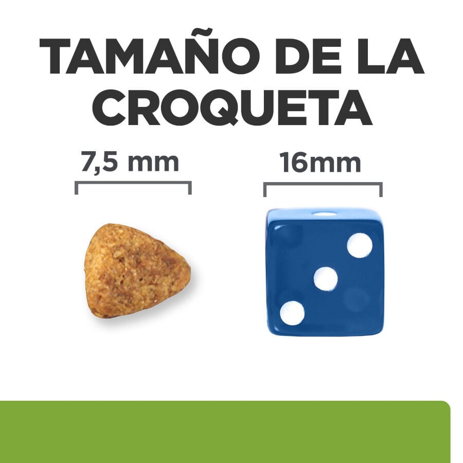 6 kg Hill's Prescription Diet Metabolic + Mobility Mini j/d pienso para perros, , large indicador imagen numero 6