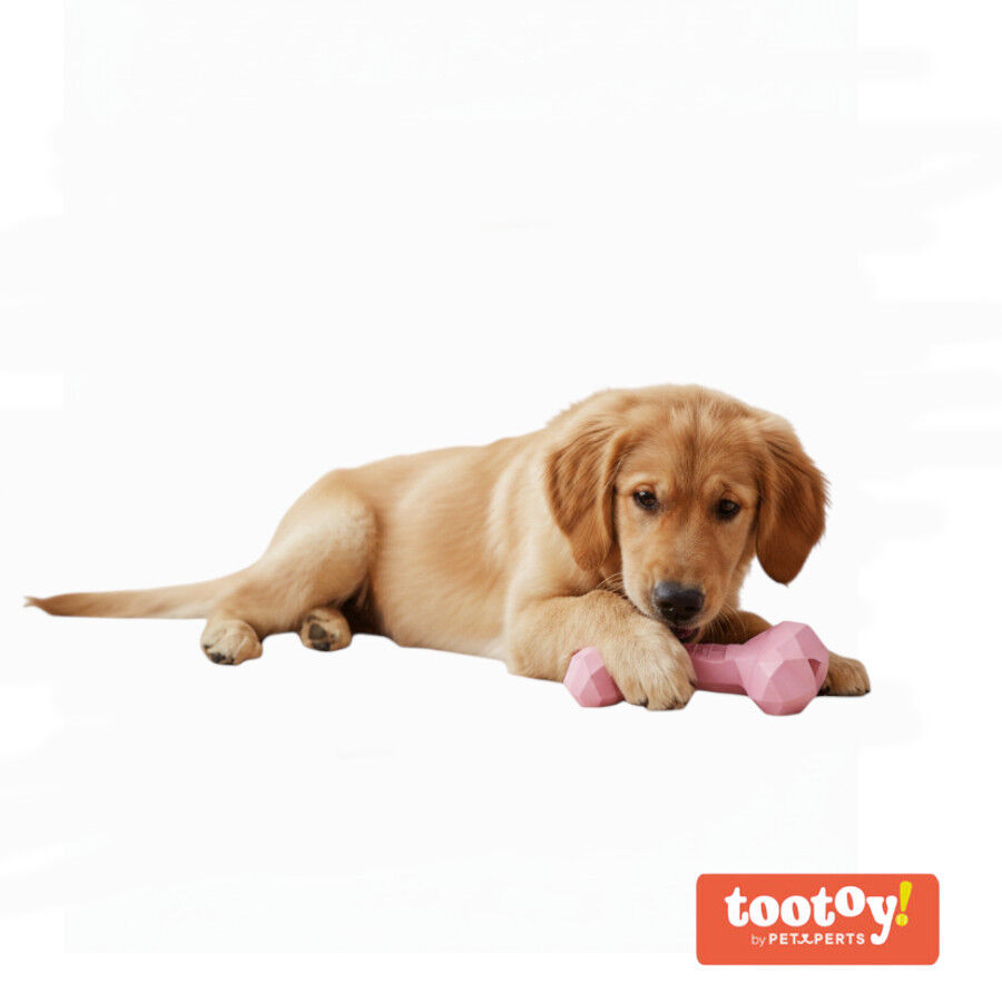 Tootoy! Hueso Mordedor de Goma Rosa para cachorros, , large indicador imagen numero 8