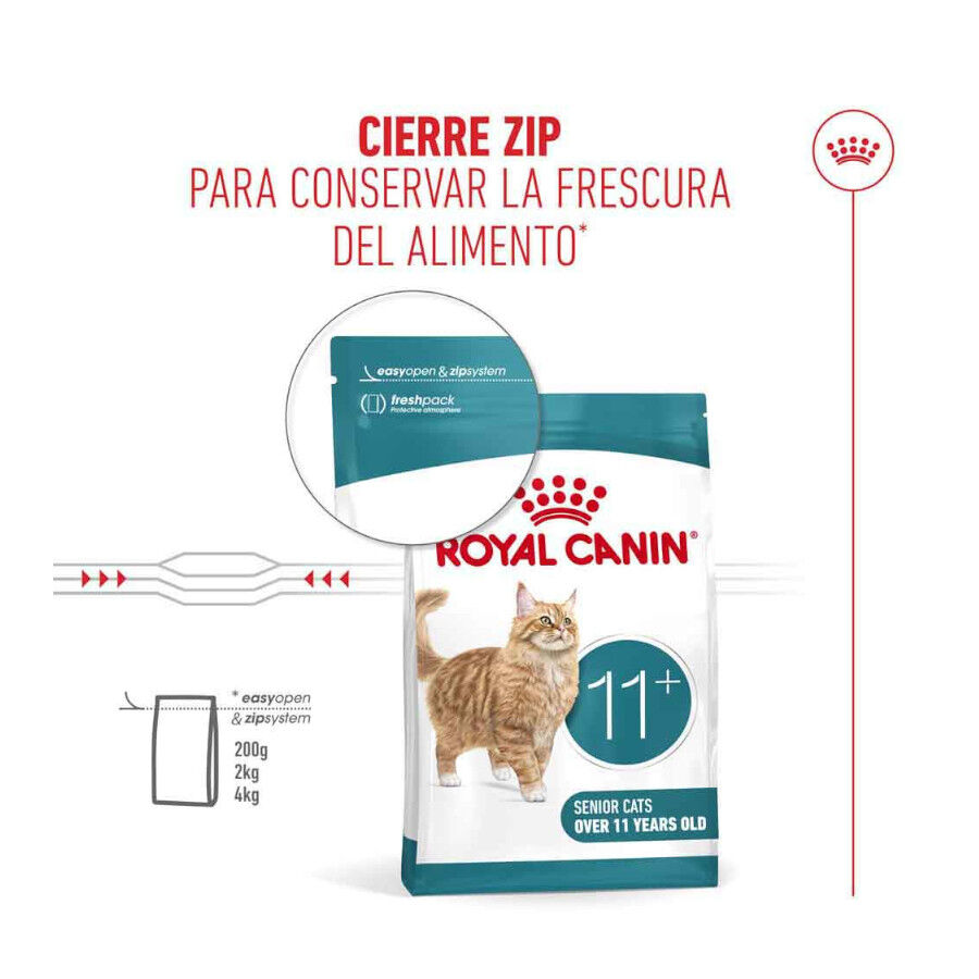 4 kg Royal Canin Ageing 11+ pienso para gatos&nbsp;senior, , large Imagen numero 7